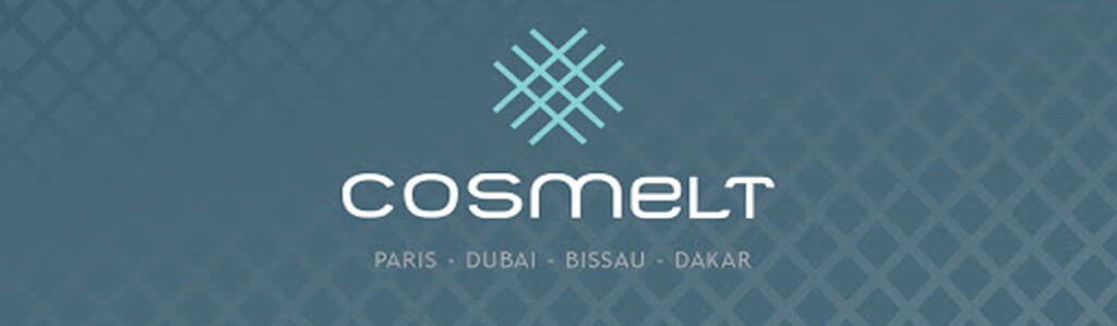 COSMELT PROJECT MANAGEMENT LLC